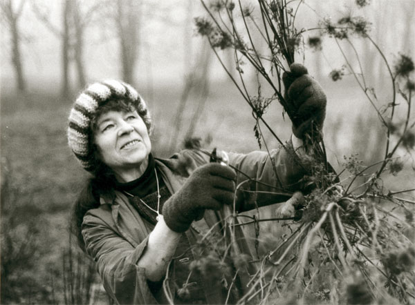Elsa Grave